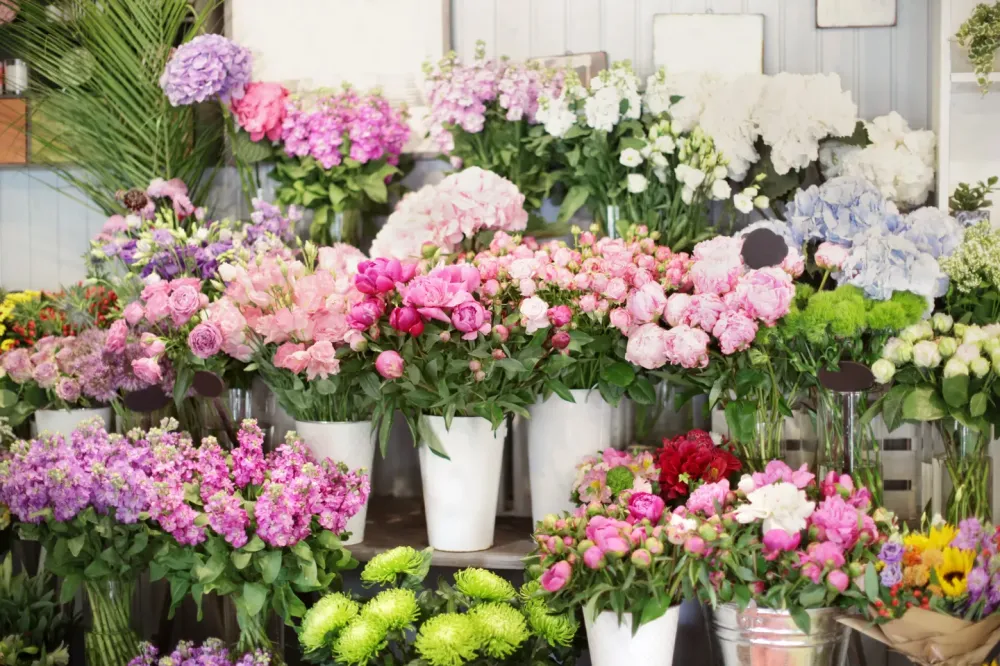 choix de fleurs